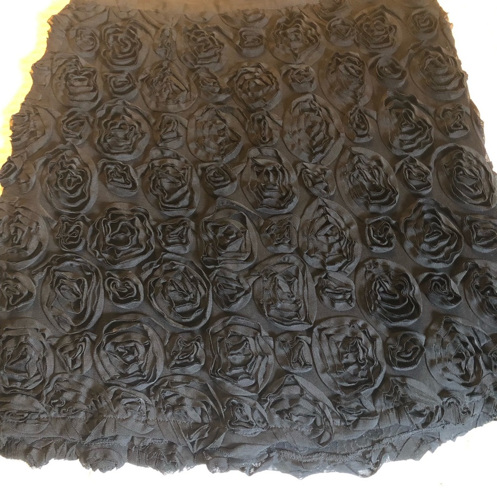 Willie Smith Blk Skirt, on dressier side.